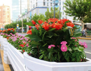 科技文化融合创新