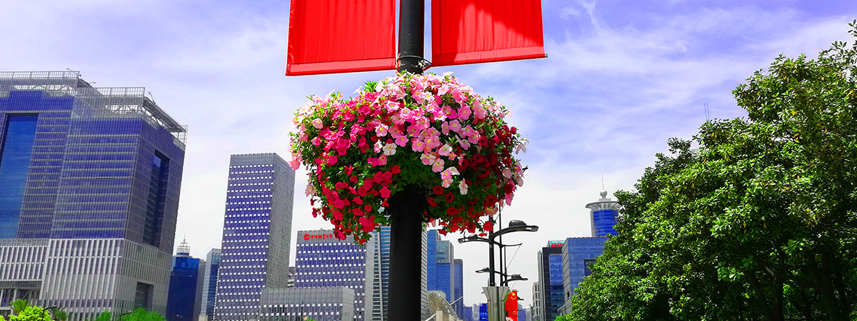 新官网产品详情页展示图3