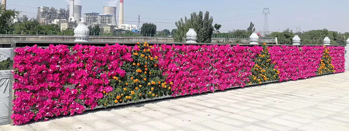 新官网产品详情页展示图5