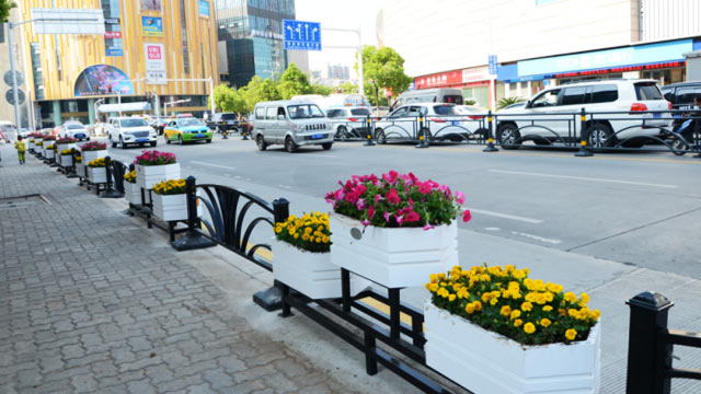 市政/城市道路花箱：择选有方，绿意生辉！