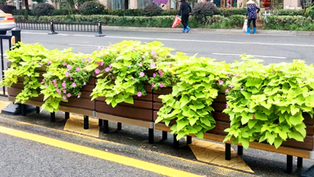 “金寨红军大道“中国状元县”文化景观项目案例！