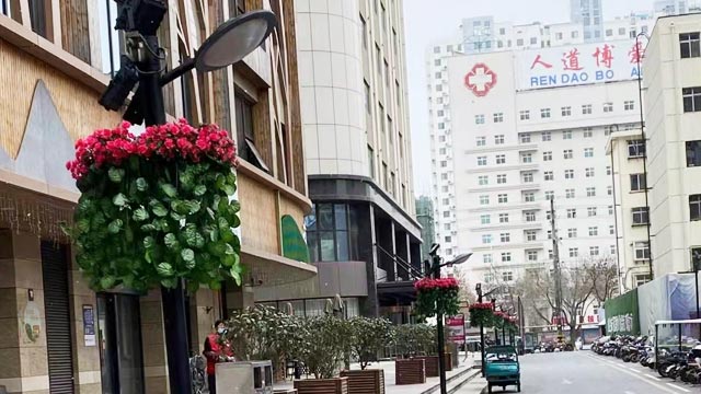 河北省衡水市灯杆景观提升项目案例！