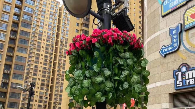 河北省衡水市灯杆景观提升项目案例！