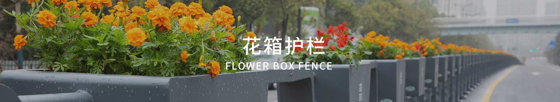 朗汀花箱护栏制造源头厂家