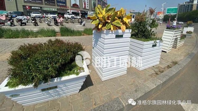 内蒙古-广场隔离花箱