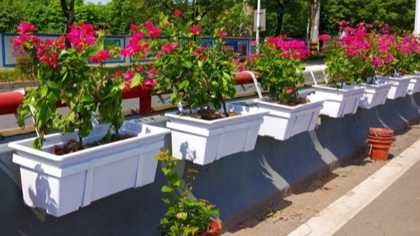 桥梁花盆怎么选？4个关键因素一次讲清楚 | 桥梁绿化花盆选购指南