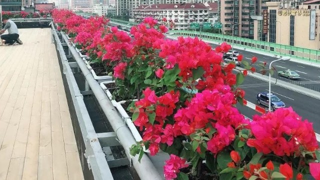 护栏装饰花盆 护栏装饰花盆
