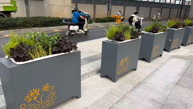 合肥西站周边景观花箱提升采用了哪些绿化解决方案？