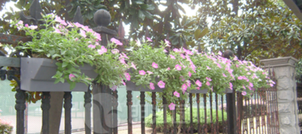 resource/images/6e512e5f58394324872b783ec92bc184_24.png