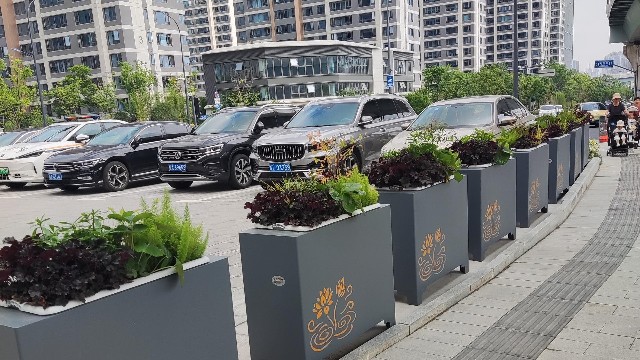 合肥西站花箱案例：高铁枢纽的绿色风景线