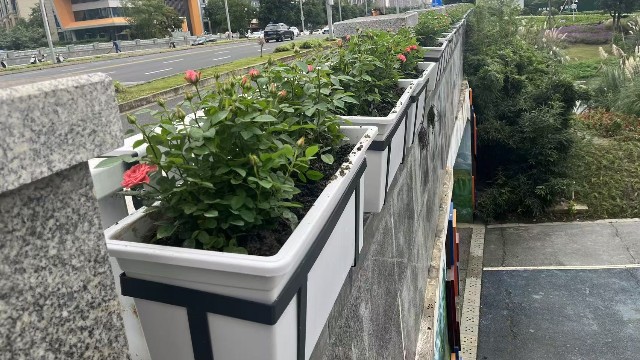 成都护栏花盆案例：二环空中花廊立体绿化成功实践