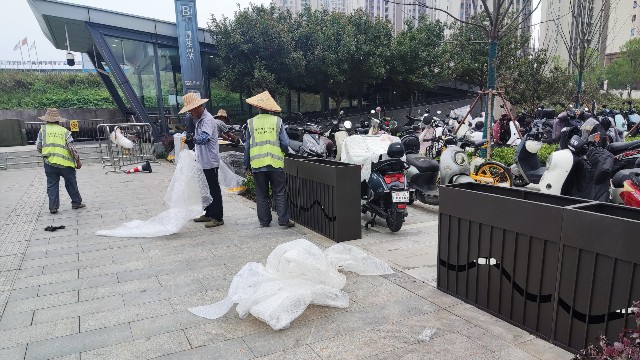 合肥地铁四号线地铁口花箱｜柔性隔离+生态美学，打造城市绿色归家路