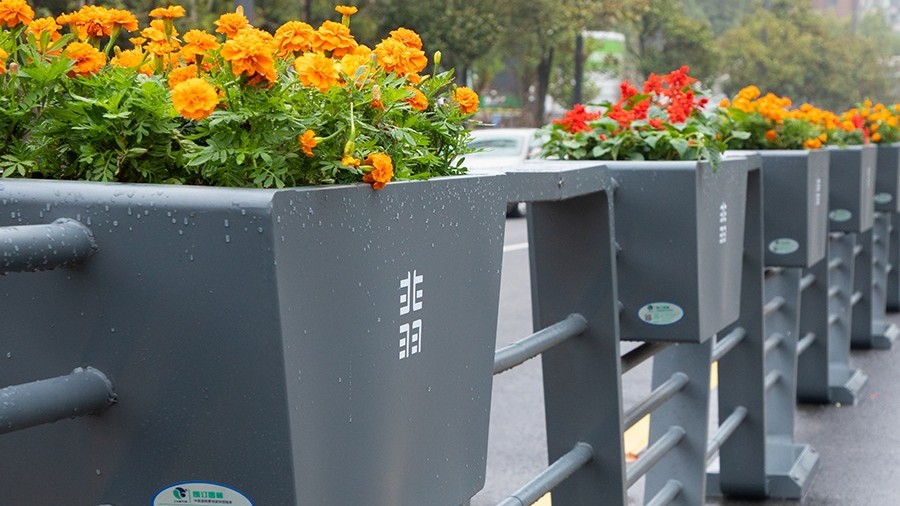 不锈钢花箱为什么越来越受欢迎？三大优势告诉你答案