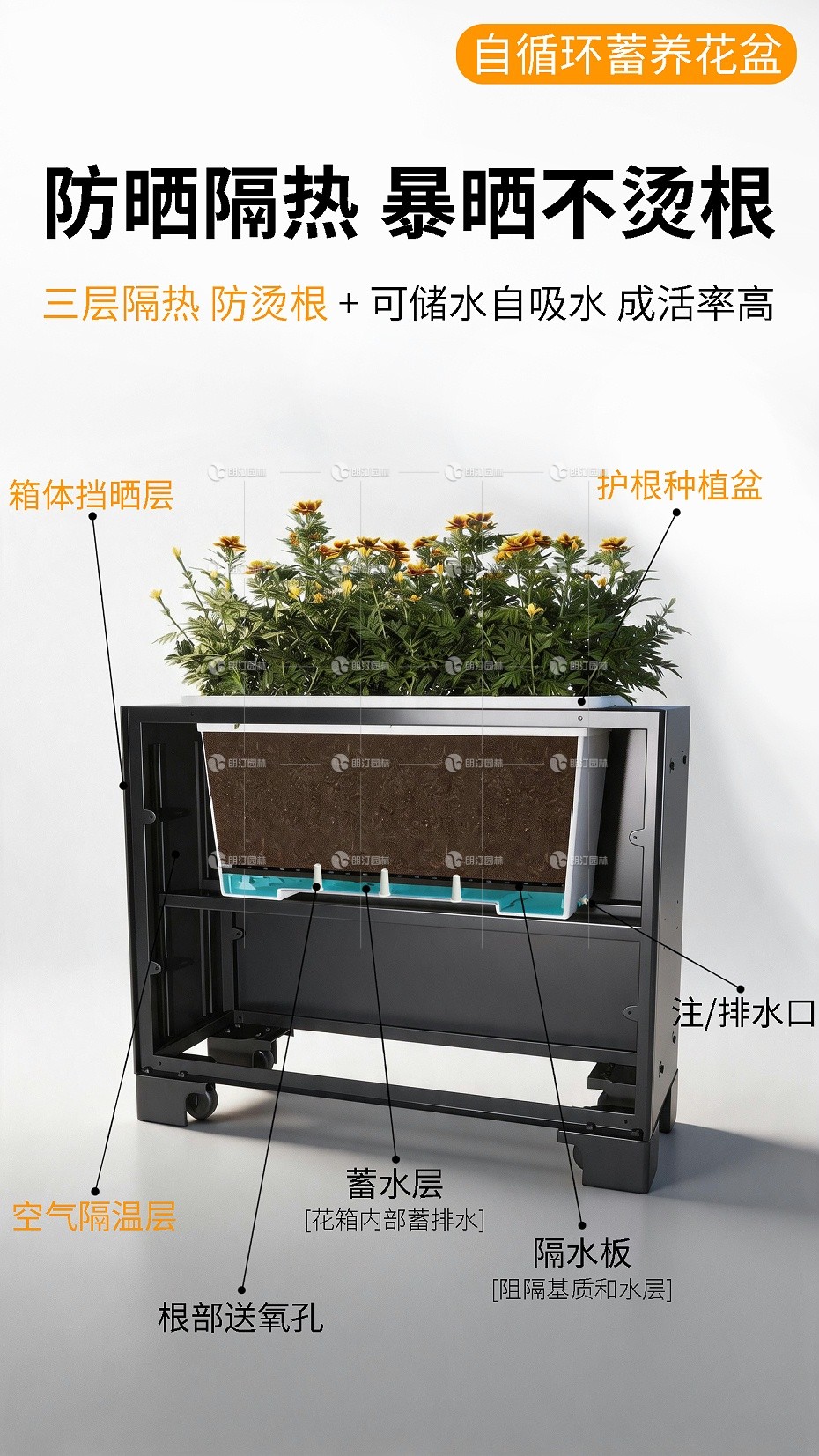 详情6