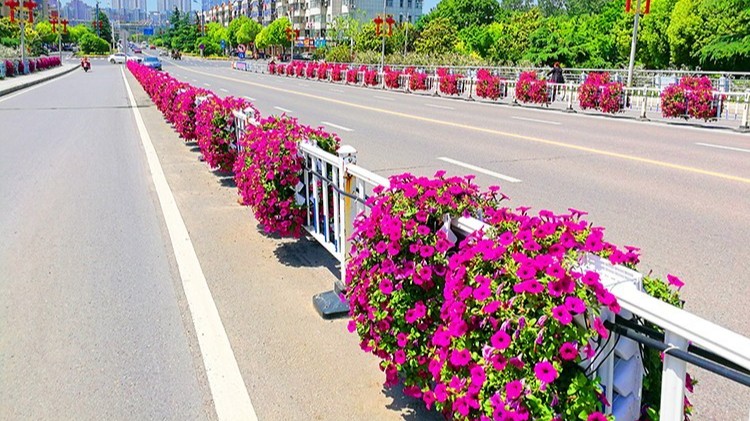 高架桥花盆价格对比：不同材质到底差在哪？一篇看懂不锈钢/玻璃钢/PP塑料怎么选