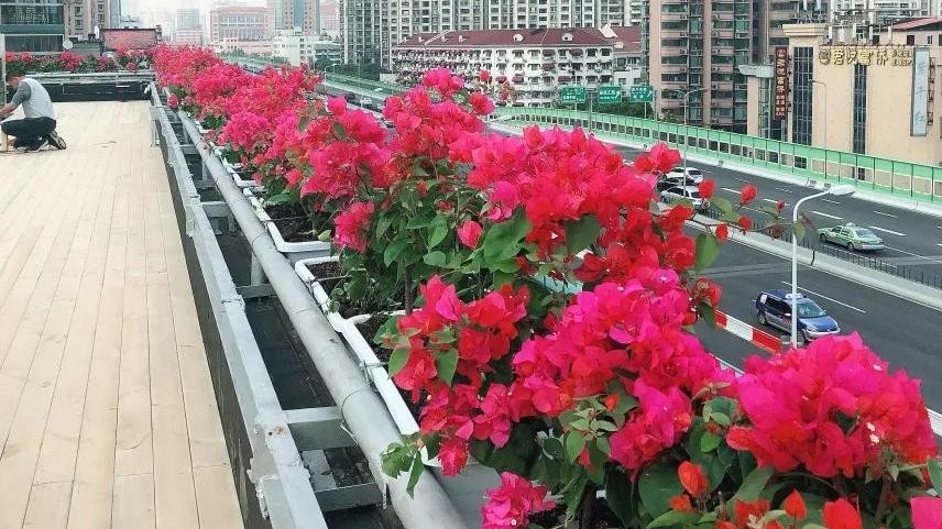 高架桥花盆多少钱一个？2026年最新报价清单