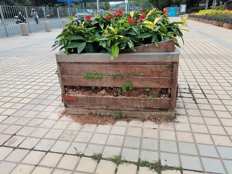 2fa42c30f0c615fba7efbc65639e7c61