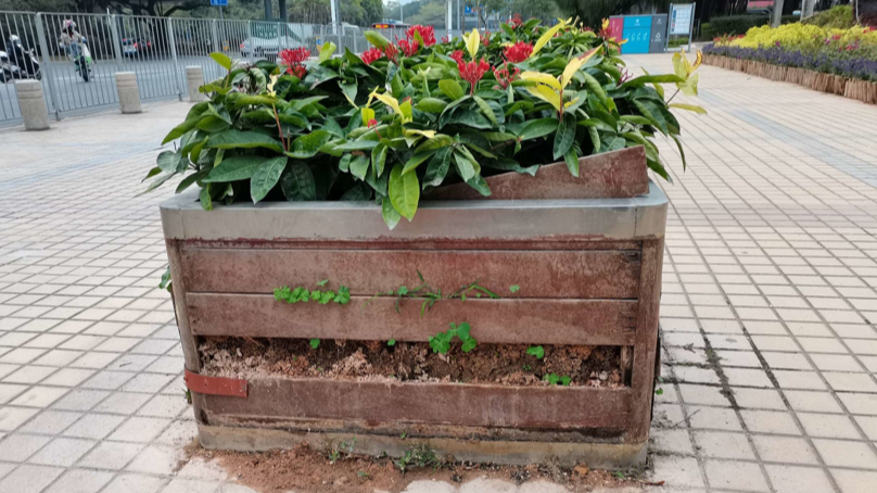 不锈钢花箱与防腐木花箱核心差异对比