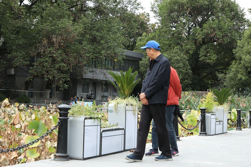 合肥包公祠纸短情长花箱景观案例 朗汀园林 文旅花箱