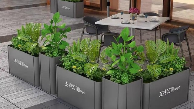 为啥要在商场门口摆一排花？不是为了好看，是让你“慢下来”