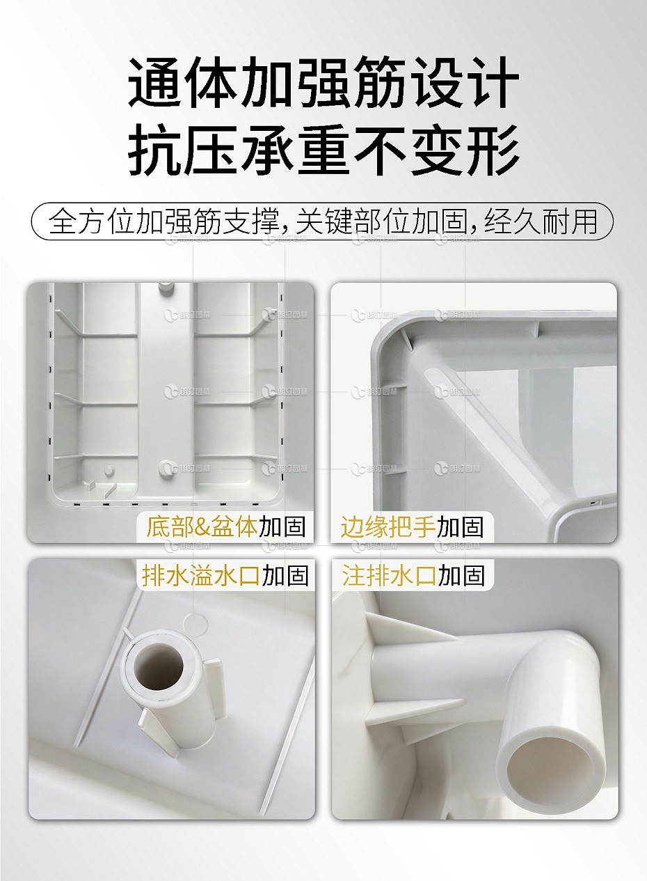 详情8