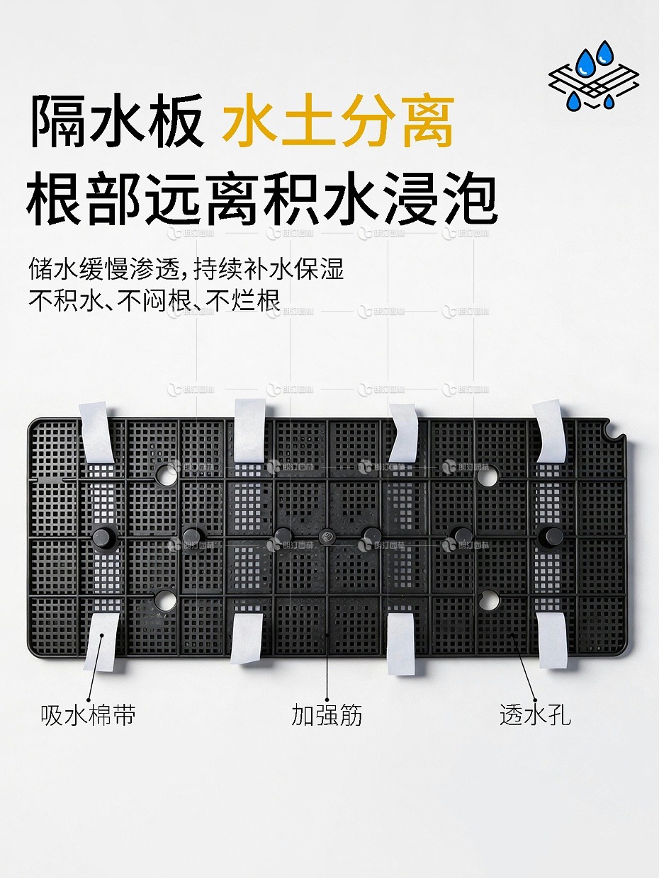 详情9